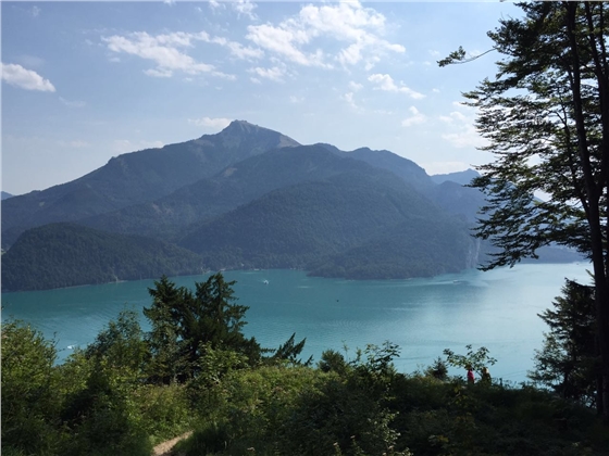 余教授奧地利鄉(xiāng)村行：萬(wàn)科為什么說(shuō)把奧地利小鎮(zhèn)搬回來(lái)？