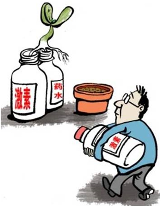 #微肥課堂#葉面肥含激素好嗎？