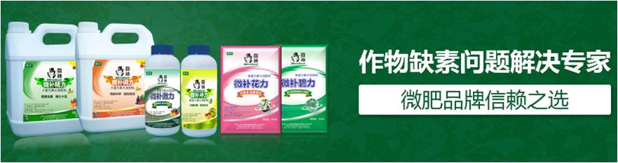 #微肥課堂#為什么葉面肥養(yǎng)分含量相同，效果卻不同？