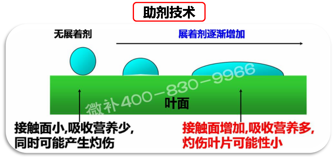余教授德國鄉(xiāng)村行：我在德國為什么不會點啤酒了？
