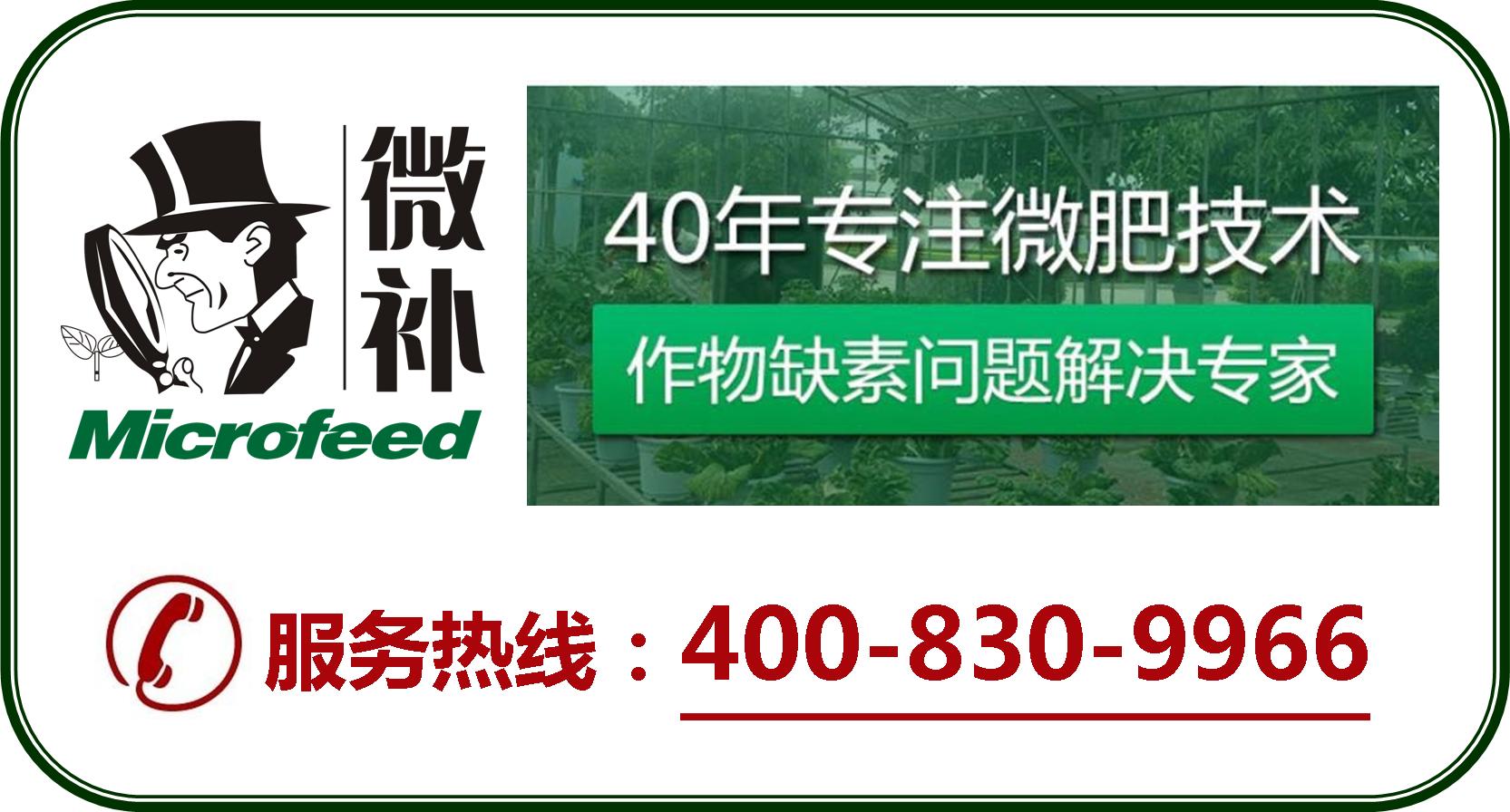 余教授德國(guó)鄉(xiāng)村行：摩澤爾河的葡萄魅力在哪兒？