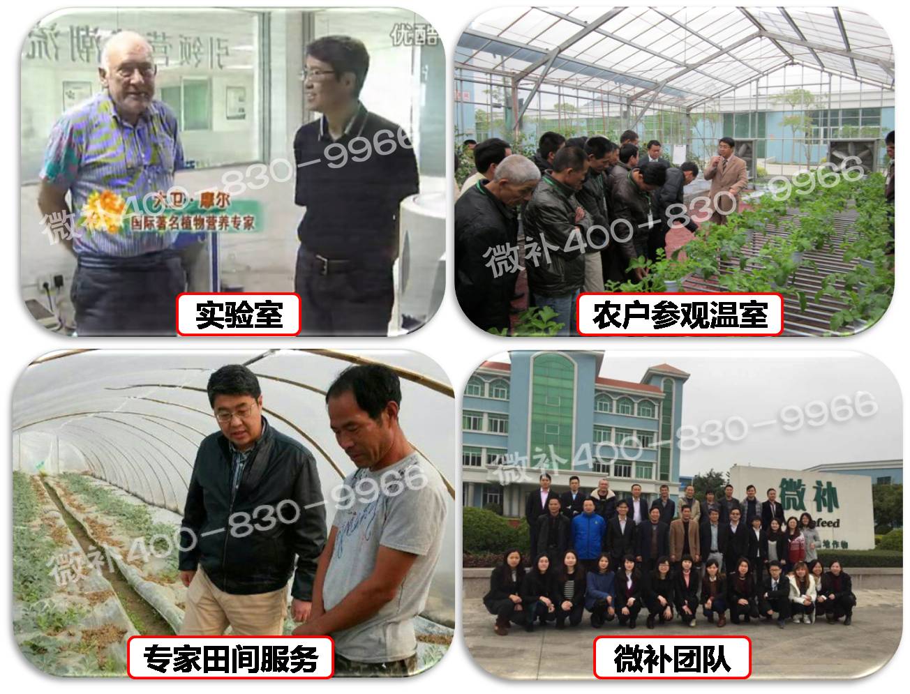 余教授奧地利維也納行：不懂音樂(lè)的農(nóng)民教授，在音樂(lè)之都的感受