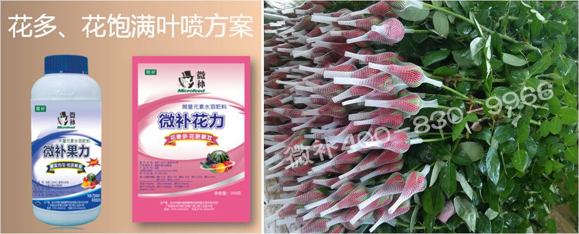 花卉也需要微補嗎？
