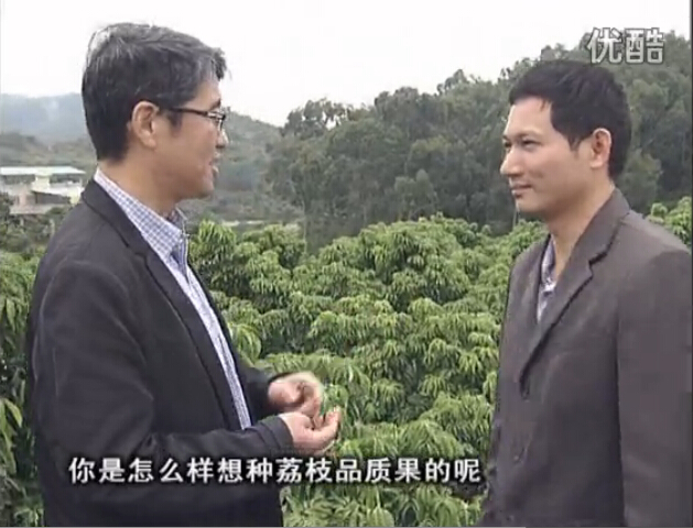 20160104珠江臺搖錢樹：補充所需微補營養(yǎng)，種出品質(zhì)荔枝，提高收益賣價！