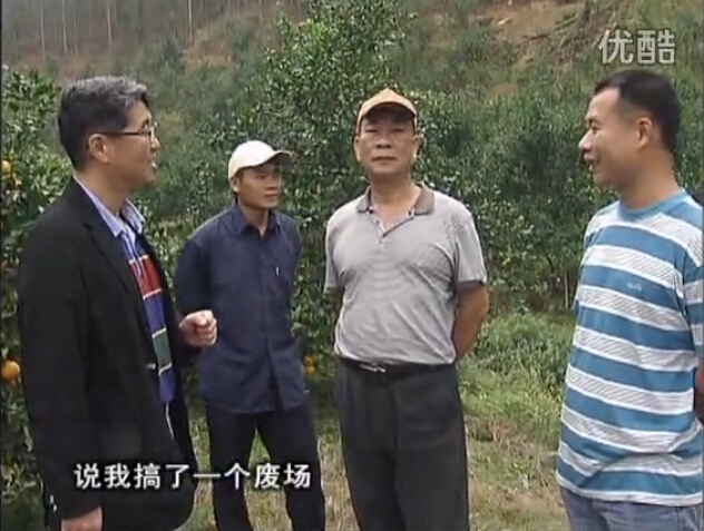 20160118珠江臺(tái)搖錢樹：貢柑用微補(bǔ)全年?duì)I養(yǎng)方案，黃樹翻身還高產(chǎn)增果