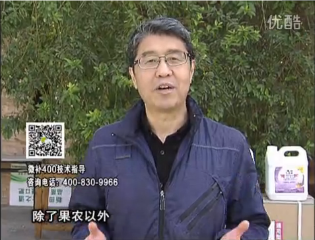 20160321珠江臺搖錢樹：柑橘用微補方案，百萬收入不是夢