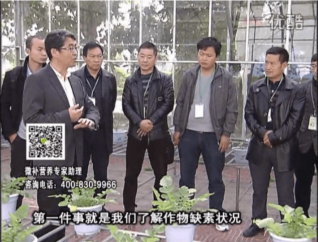 20160418珠江臺搖錢樹：和重慶種植業(yè)主走進微補，探秘微補生產(chǎn)研發(fā)技術