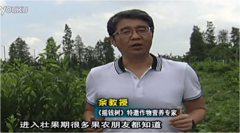 20160620珠江臺搖錢樹：柑橘淋微補調力、噴蓋力+壯力，調酸壯長勢、膨果防裂好