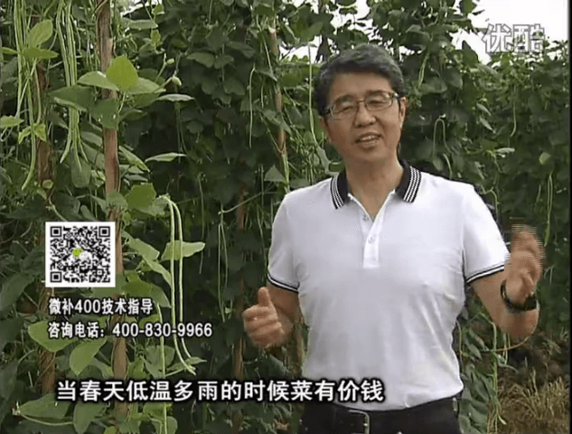 20160704珠江臺(tái)搖錢樹：蔬菜用微補(bǔ)方案，省肥藥又保產(chǎn)