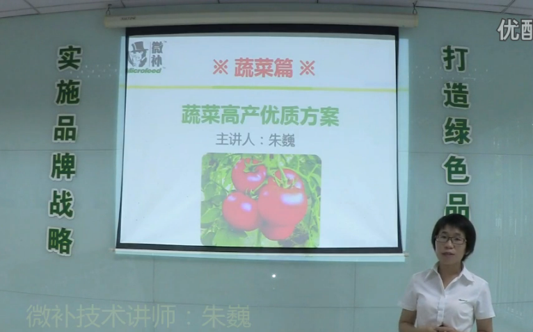 蔬菜-提苗壯長、提高坐果高產(chǎn)方案.微補講座