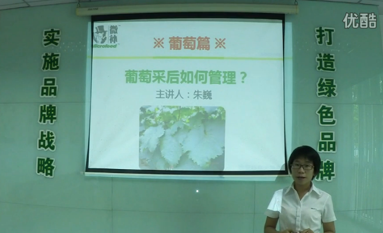 葡萄-采后恢復樹勢、來年花芽分化好.微補講座