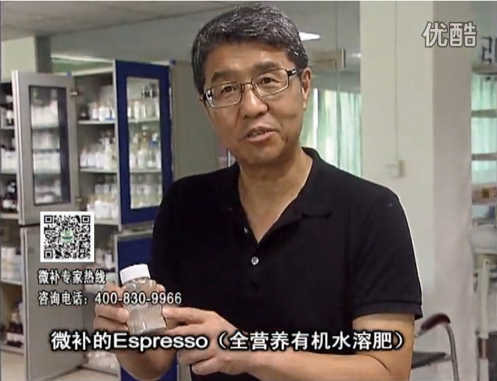 20160822珠江臺搖錢樹：柑橘秋梢淋沖因迪樂精華粉，補充有機營養(yǎng)，健壯果樹