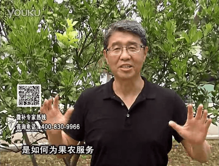 20160912珠江臺搖錢樹：針對果場面積、缺素營養(yǎng)、設(shè)施管理、投入產(chǎn)出，微補(bǔ)做個性化定制服務(wù)