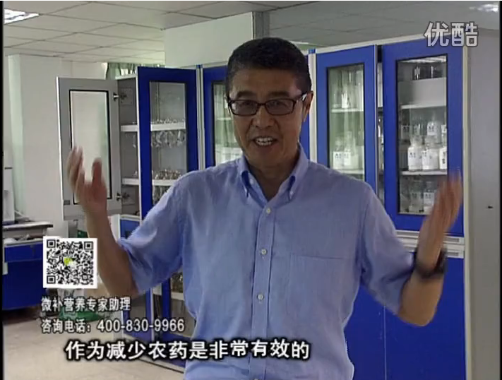 20161024珠江臺搖錢樹：種植作物調(diào)酸、平衡營養(yǎng)、提高抗病力能大大降低病害發(fā)生和農(nóng)藥使用量