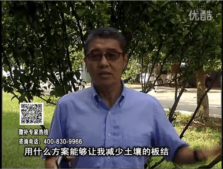 20161031珠江臺搖錢樹：減少化肥使用量、土壤少板結(jié)有辦法